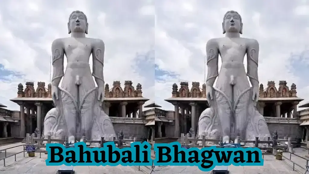 श्री आदिनाथ जिन पूजा – Shree Aadinaath Jin Pooja