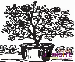 Chapter 17 – Six Substances Part I – Living Beings (Jiv)